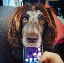 be in the moment.PNG