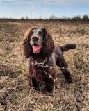 img_20190324_141049_816