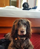 img_20190325_110919_884