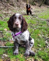 img_20190325_131957_146