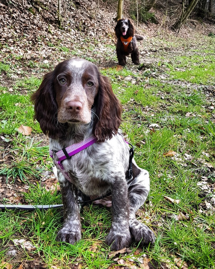 img_20190325_131957_146