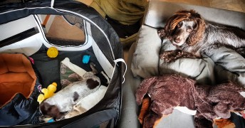 img_20190326_171727_889