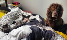 img_20190328_152200_850