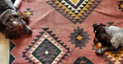 img_20190329_114129_606