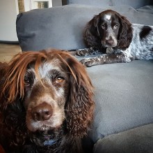 img_20190401_131249_152