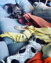 img_20190401_144117_936