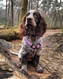 img_20190402_192901_263