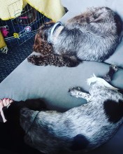 img_20190403_171115_458