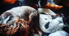 img_20190405_081039_587