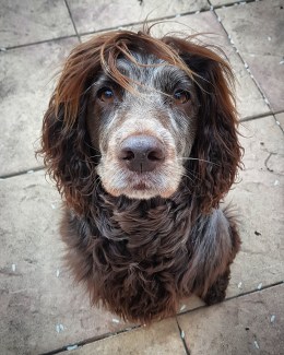 img_20190410_075023_688