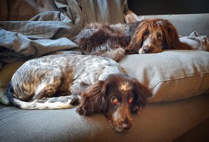 img_20190418_093247_288