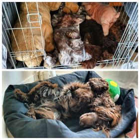 img_20190418_140657_885