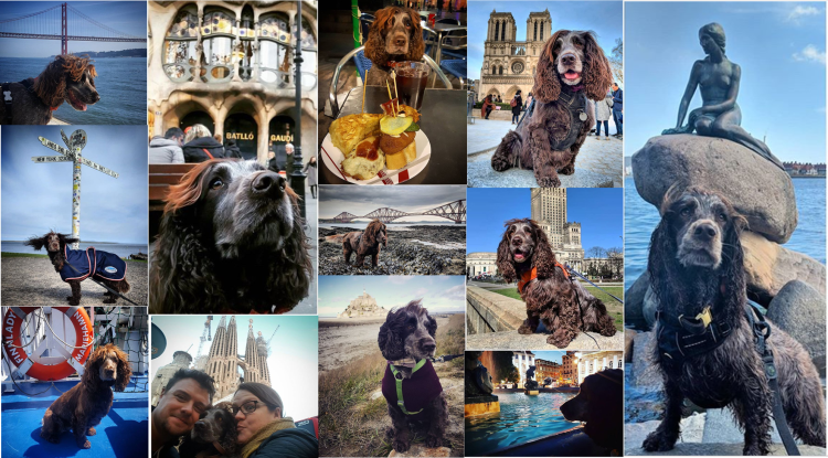 Nell travel collage
