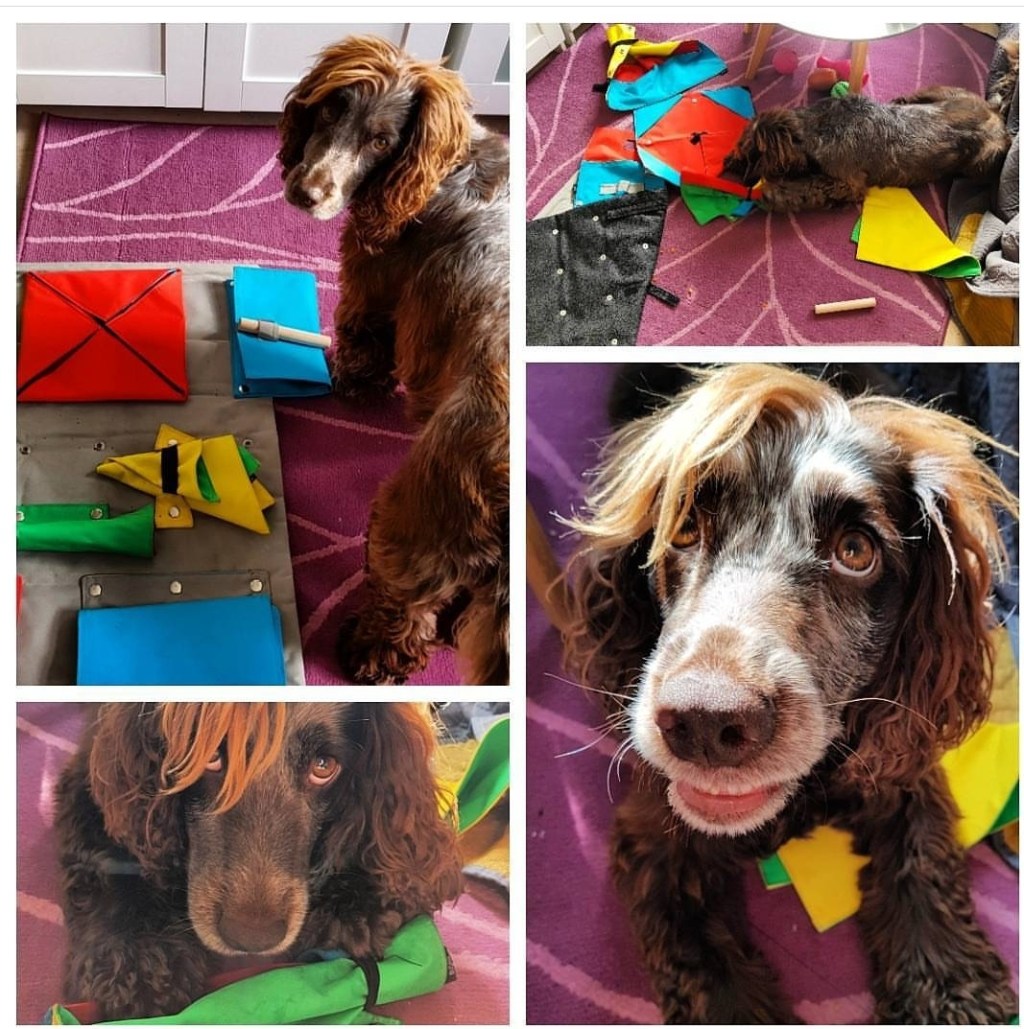 Toy review: BusterMat