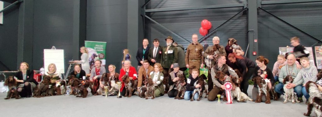 Reflections on the microcosm of Polish Hunting&nbsp;Spaniels
