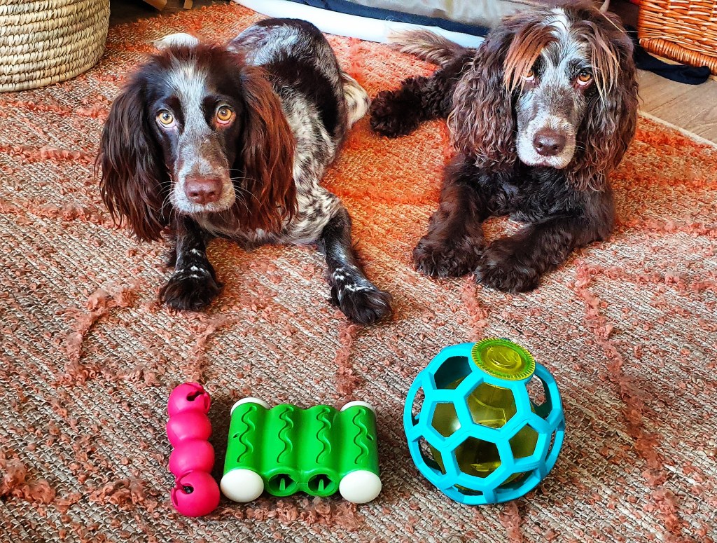 Toy review: JW Hol-ee Ball & Caterpillar, Petsafe&nbsp;Ribinator