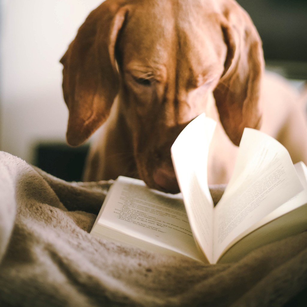 Books on dog-human&nbsp;connection