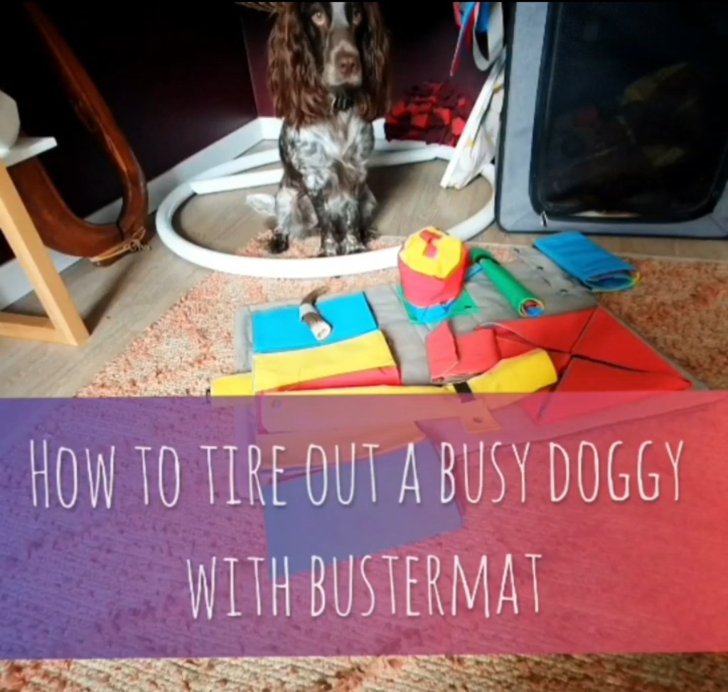 Toy review: Buster&nbsp;ActivityMat