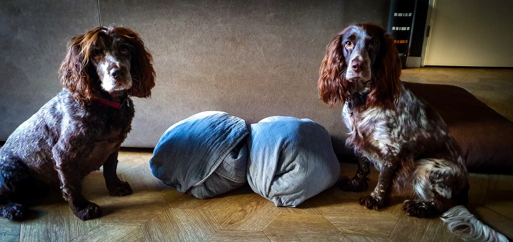 Blanket ball snuffle&nbsp;game
