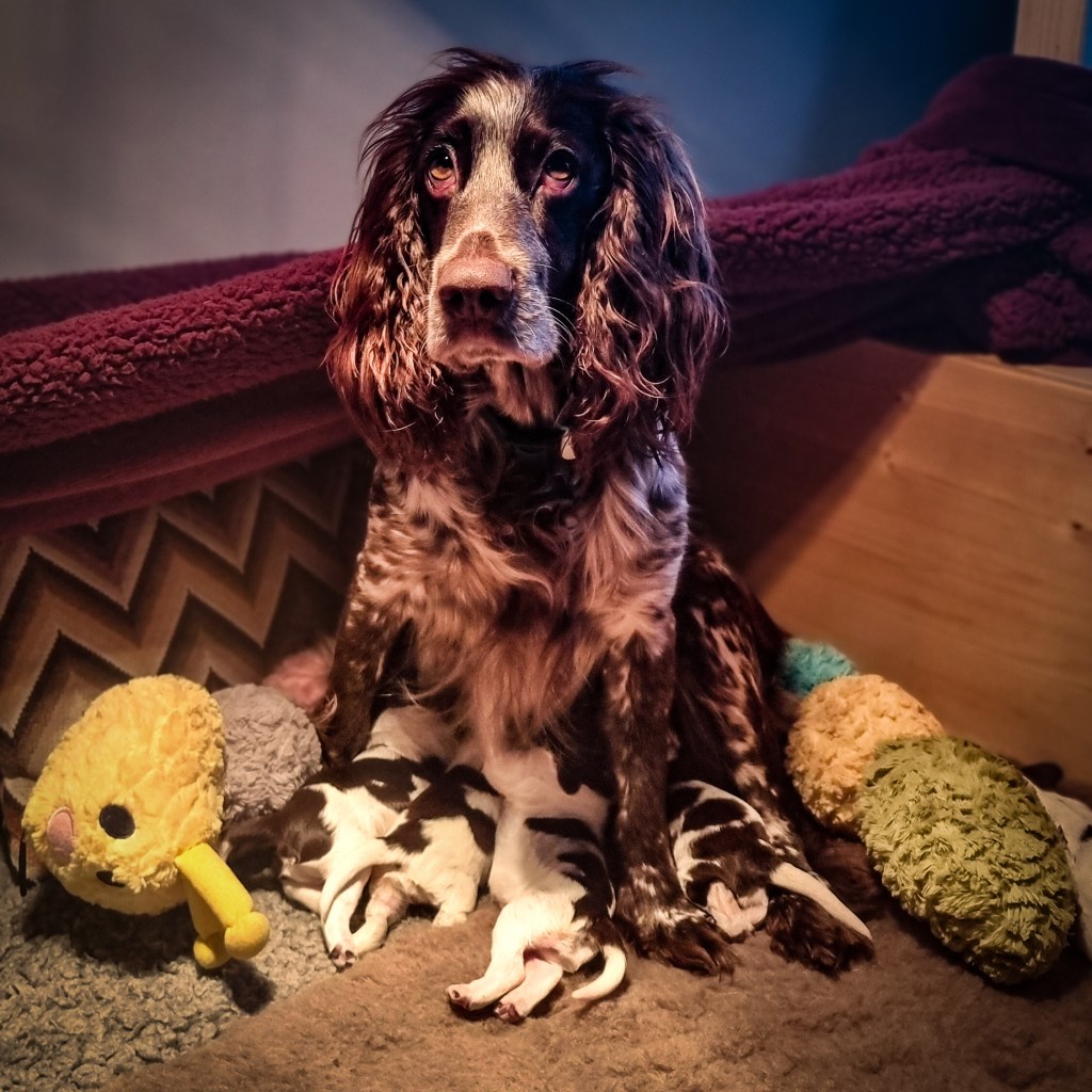 First days with the&nbsp;A-team