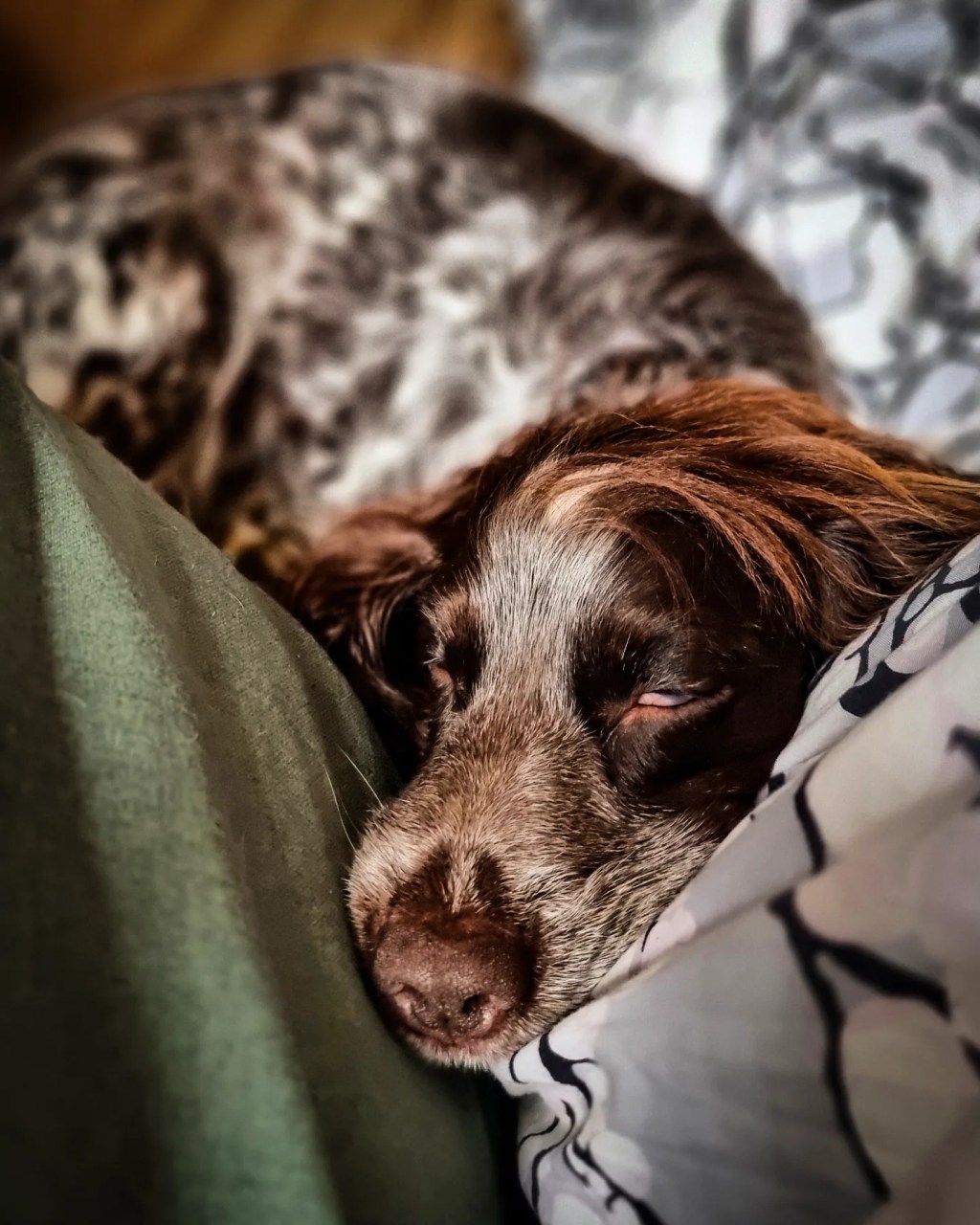 Self-care for Mama&nbsp;Dog
