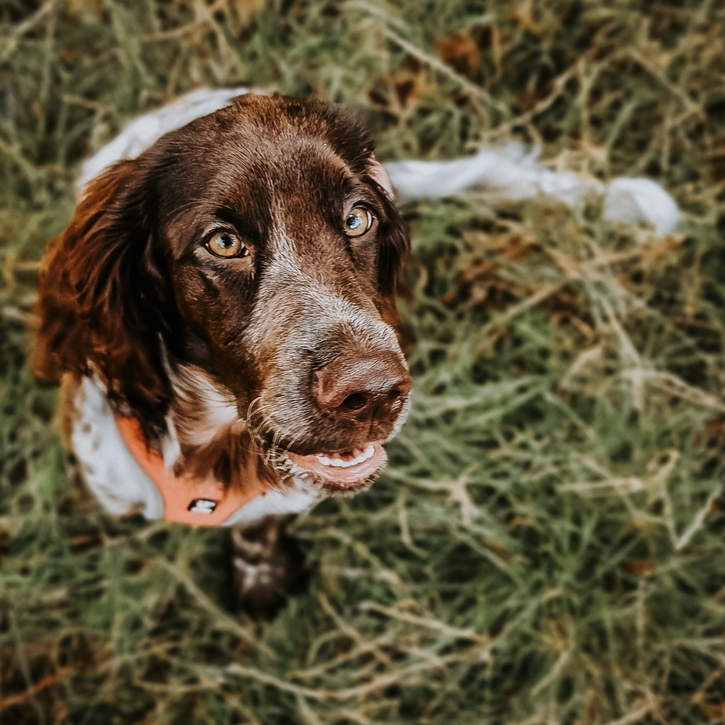 Disengaging from distractions