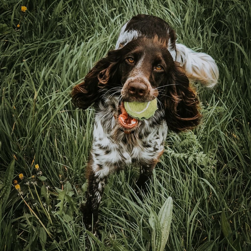The Fetch Continuum: understanding risks and making it&nbsp;safer