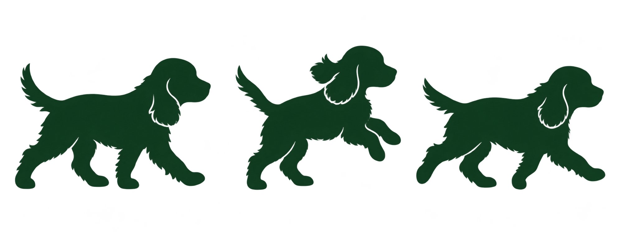 Three spaniel puppies moving together