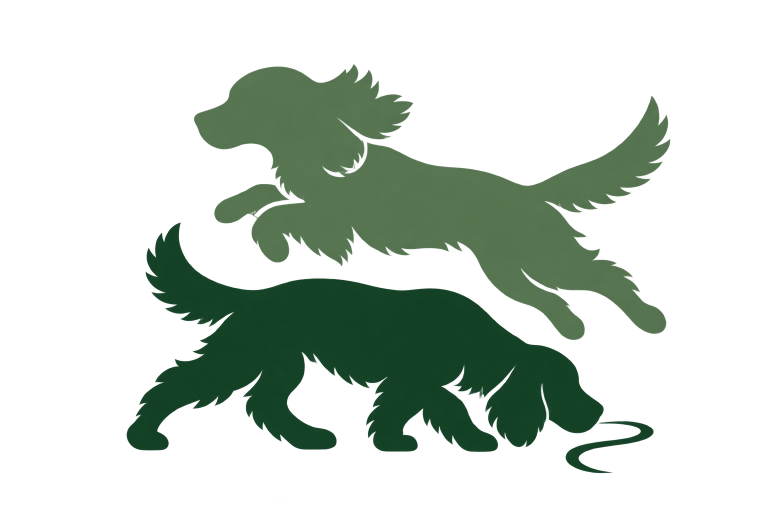 BusyDoggie