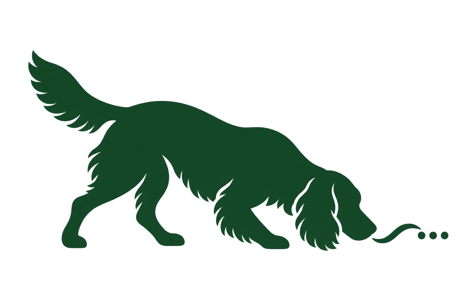 Spaniel following a scent trail