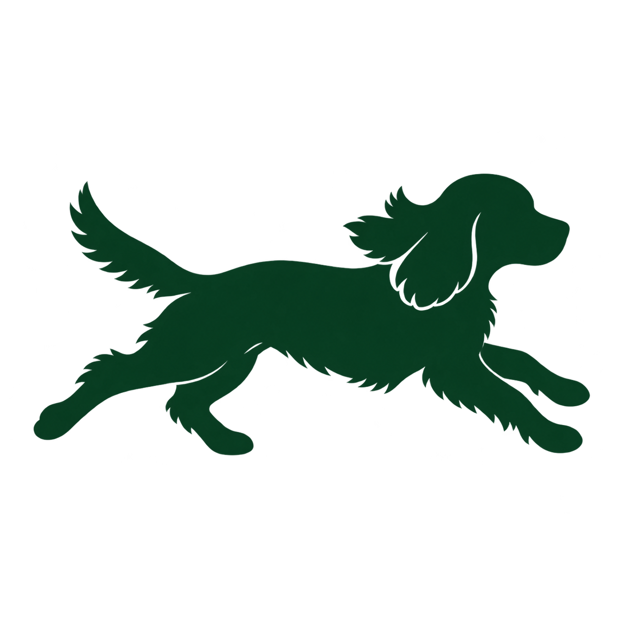 Galloping spaniel